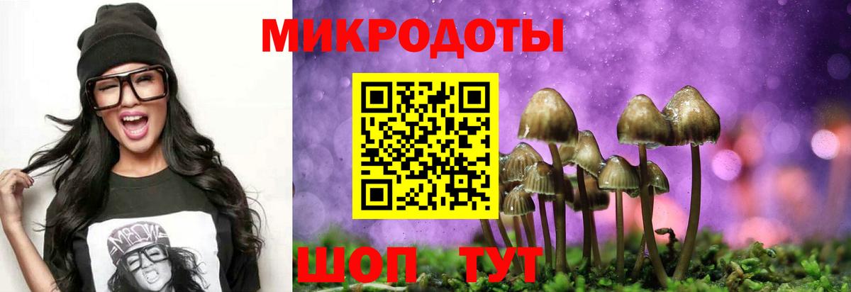 Галлюциногенные грибы Cubensis  Галлюциногенные грибы прущие грибы  Вход с VPN  Москва 